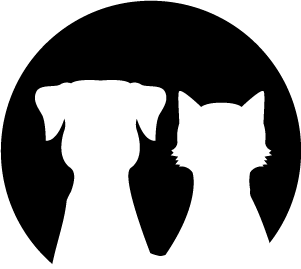 Chiots à Vendre En Belgique Annonces De Chiens à Adopter