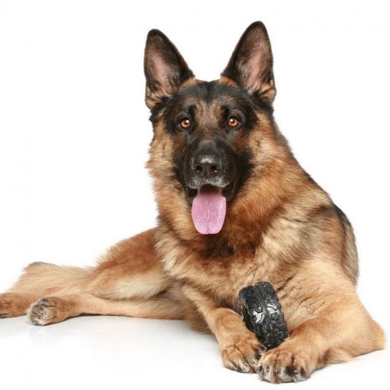 Berger allemand