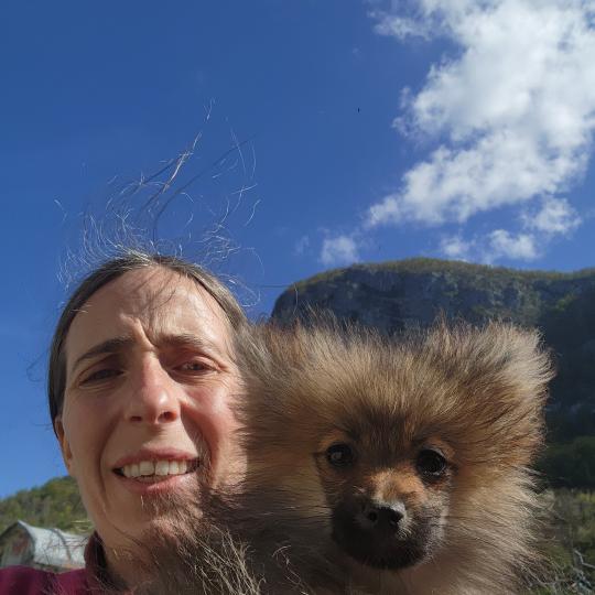 chiot Spitz allemand A Élevage du Royaume des P'tits Loups  