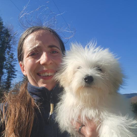 chiot Coton de tulear Sab.PBl.Env. Aréna du royaume des p tits loups Élevage du Royaume des P'tits Loups  