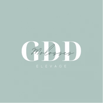 Elevage GDD