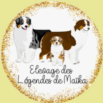 Elevage des legendes de Maïka