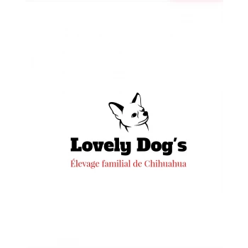 Lovely Dog's
