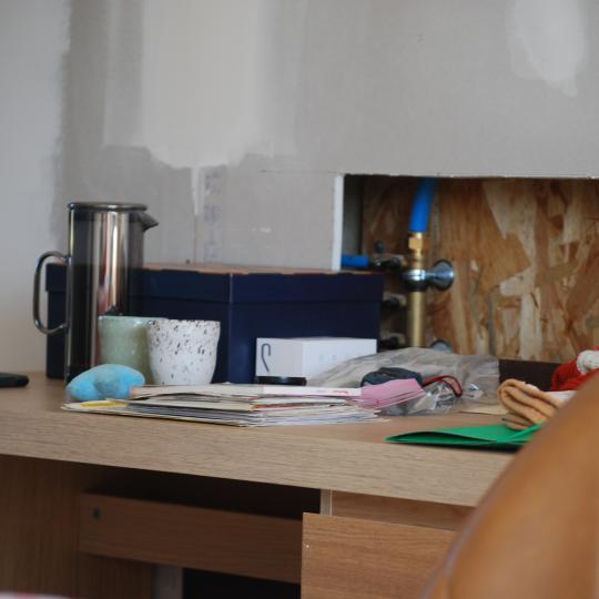 chiot Caniche Noire Bridget Elevage zadatis  caniche , teckel  