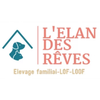 Elevage de l'élan des rêves