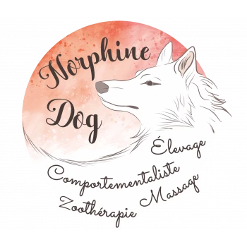 Norphinedog