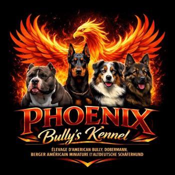 Phoenix bully's kennel