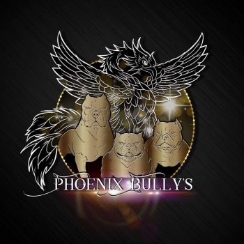 Phoenix bully's kennel