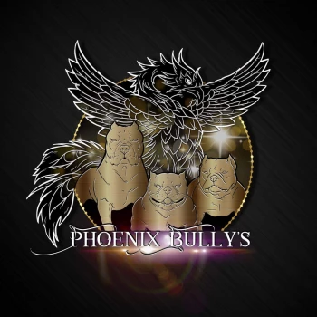 Phoenix bully's kennel