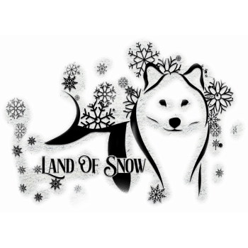 Land of snow