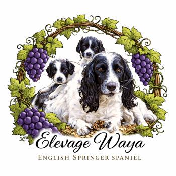 Elevage WAYA