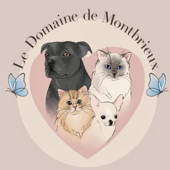 DOMAINE DE MONTBRIEUX