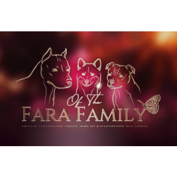 OF The Fara Family