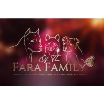 OF The Fara Family