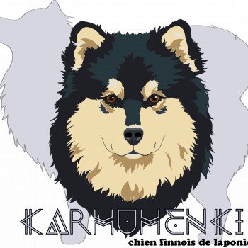 Elevage Karhuhenki - Chien Finnois de Laponie