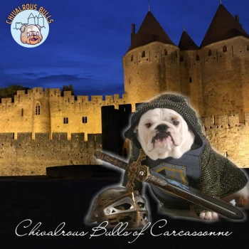 Chivalrous Bulls of Carcassonne