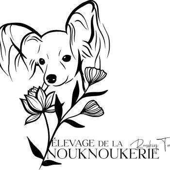 La Nouknoukerie