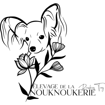 La Nouknoukerie