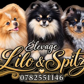 Lilo & Spitz