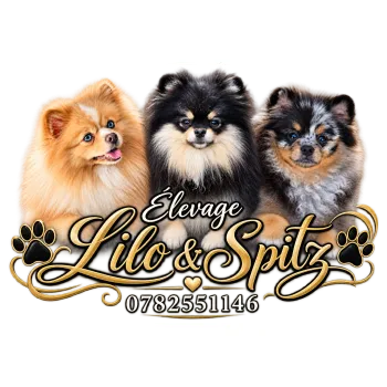 Lilo & Spitz