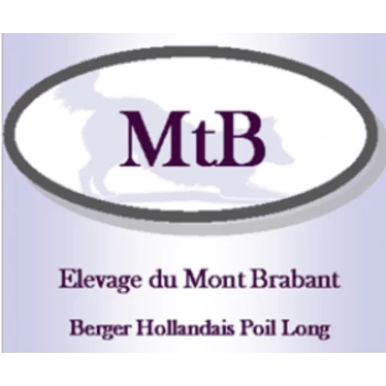 Elevage du Mont Brabant