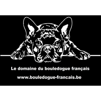 Le domaine du Bouledogue Français