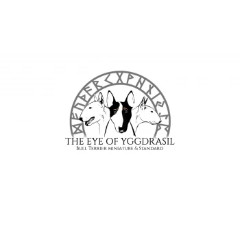 THE EYE OF YGGDRASIL