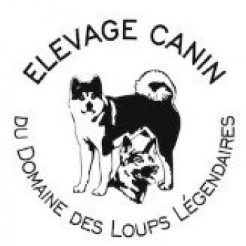 Élevage canin du domaine des loups légendaires