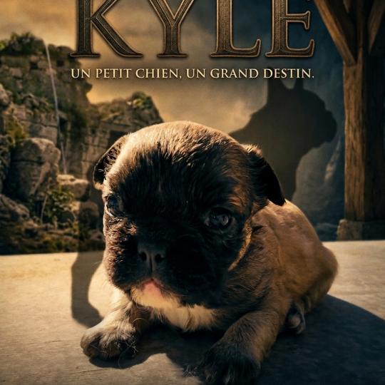 chiot Bouledogue francais Fluffy Fauve masque noir Kyle Élevage de la famille dog étoilée  