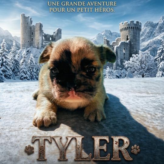 chiot Bouledogue francais Fluffy Fauve Merle Tyler Élevage de la famille dog étoilée  