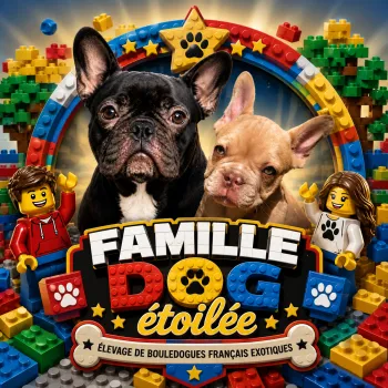 Élevage de la famille dog étoilée
