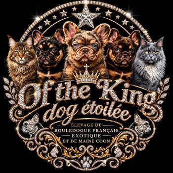 Élevage Of the King dog étoilée