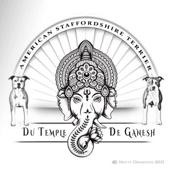 Du Temple De Ganesh