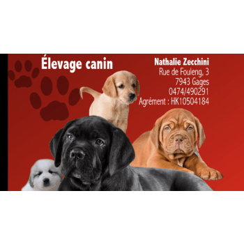 Élevage canin Domaine de Natfil : élevage de chien