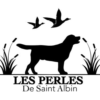 Les Perles de Saint Albin