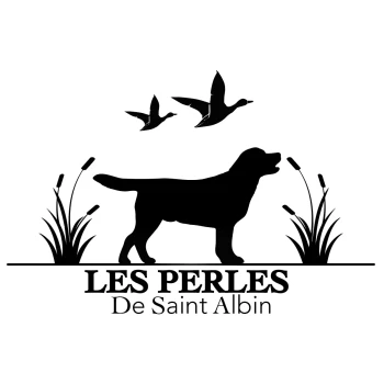 Les Perles de Saint Albin