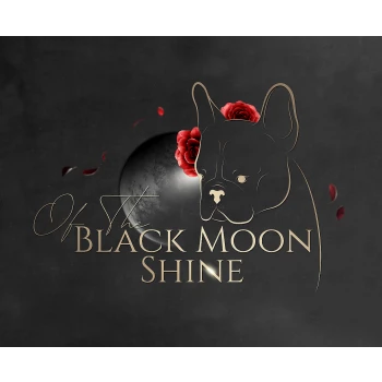 Of the Black Moon Shine