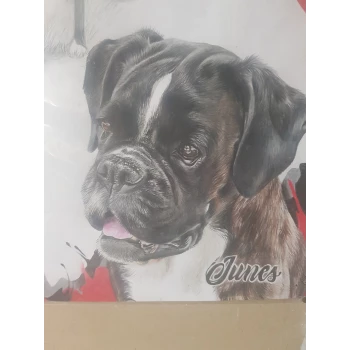 Elevage du royaume des crocs mignons (Boxer)