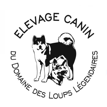 Elevage Canin du domaine des loups légendaires