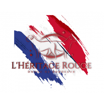 L’Héritage Rouge Dogue de Bordeaux