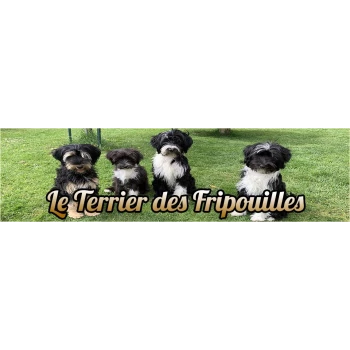 Le Terrier Des Fripouilles