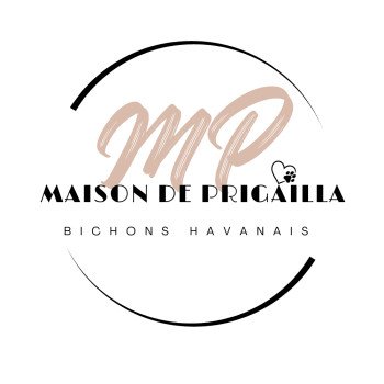 Les Havanais de la Maison de Prigailla