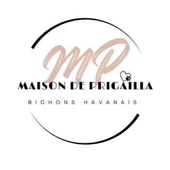 Les Havanais de la Maison de Prigailla