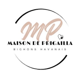 Les Havanais de la Maison de Prigailla