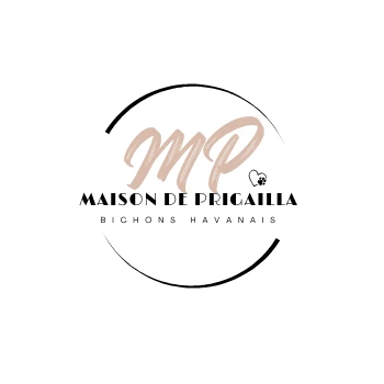 Les Havanais de la Maison de Prigailla