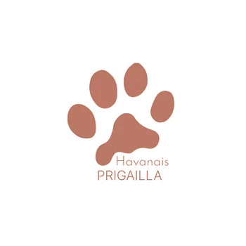 Les Havanais de la Maison de Prigailla