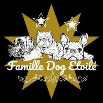 Famille Dog Étoilé