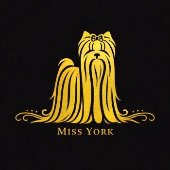 Miss York